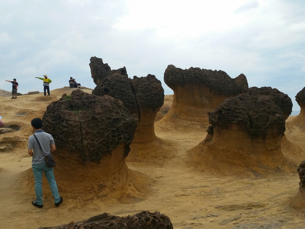 �ٹ̱�_20140511_131518[1].jpg
