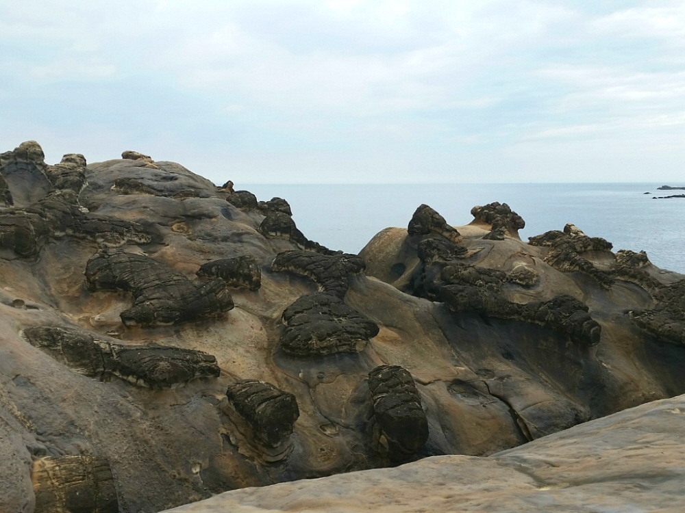 �ٹ̱�_20140511_132029[1].jpg