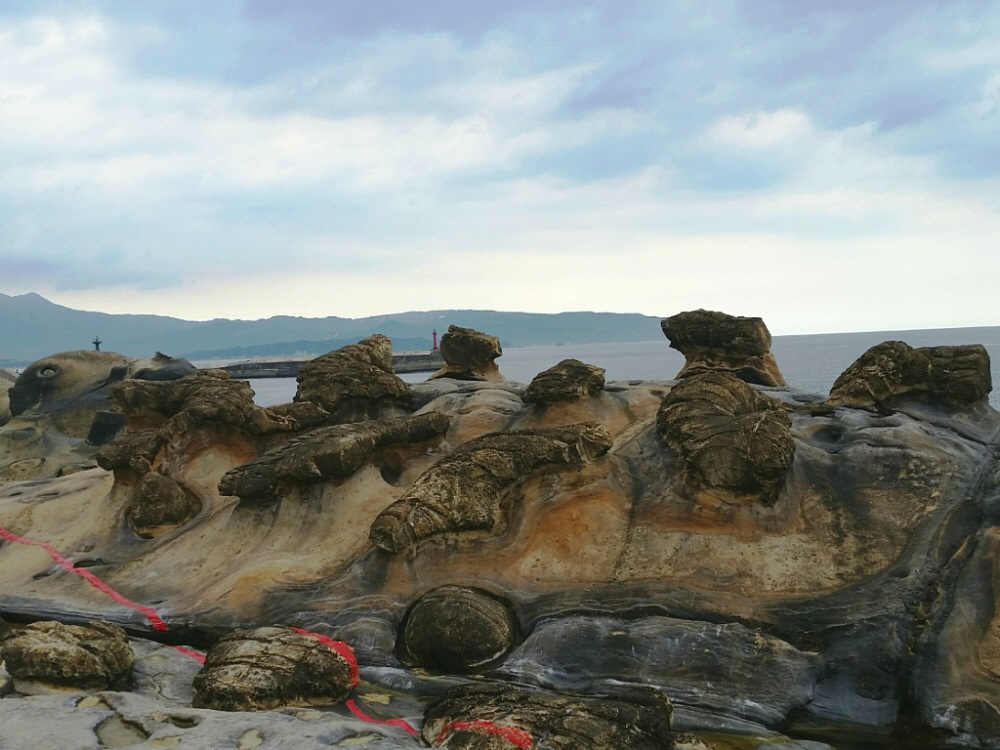 �ٹ̱�_20140511_132525[1].jpg