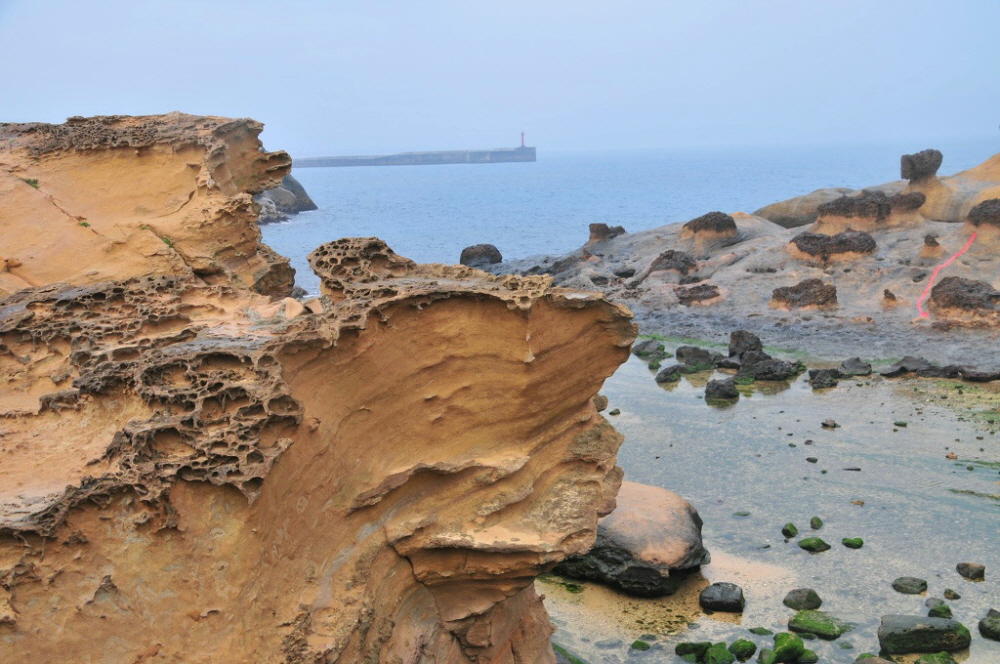 �ٹ̱�_DSC_4891[1].jpg