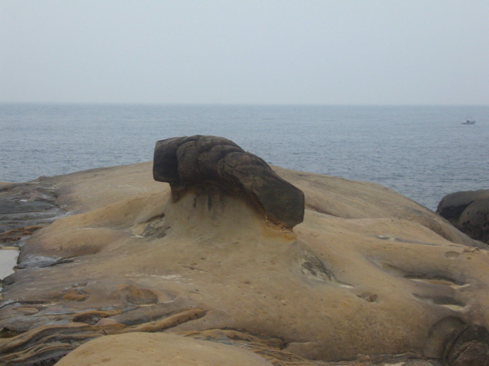 �ٹ̱�_DSC03984[1].jpg