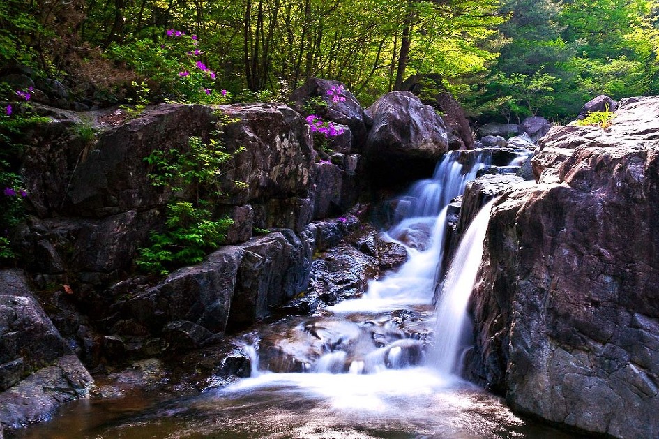 ������ �ޱð��1.jpg