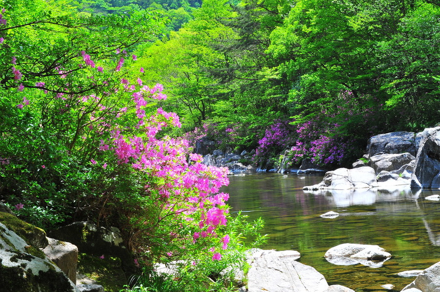 ������ �ޱð��2.jpg