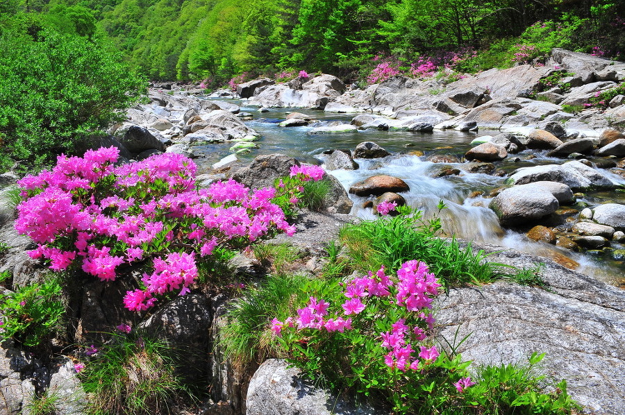 ������ �ޱð��3.jpg