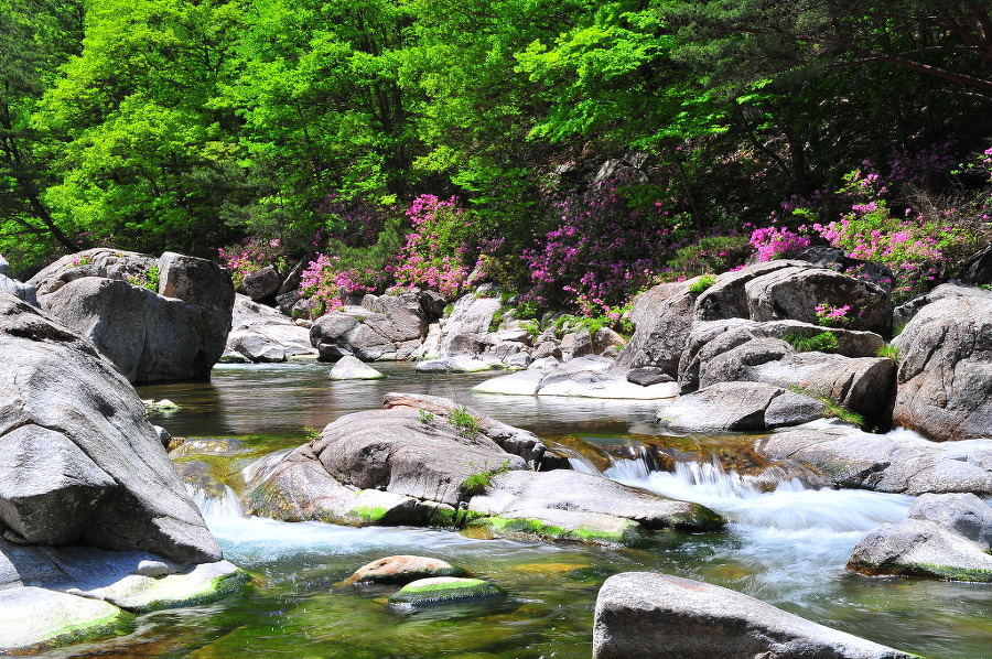 ������ �ޱð��4.jpg