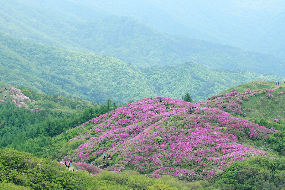 ������ �ٷ���1.jpg