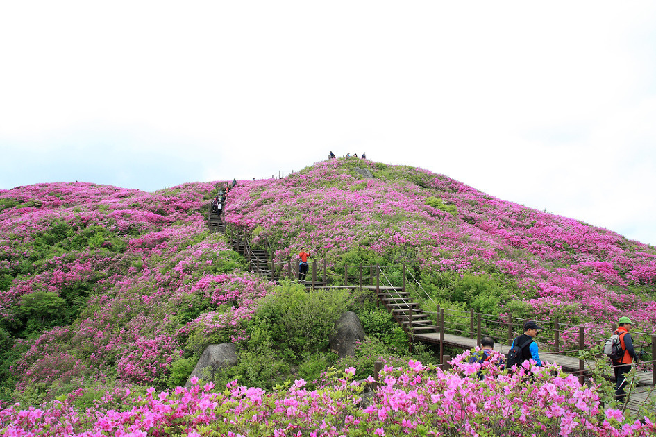 ������ �ٷ���2.jpg