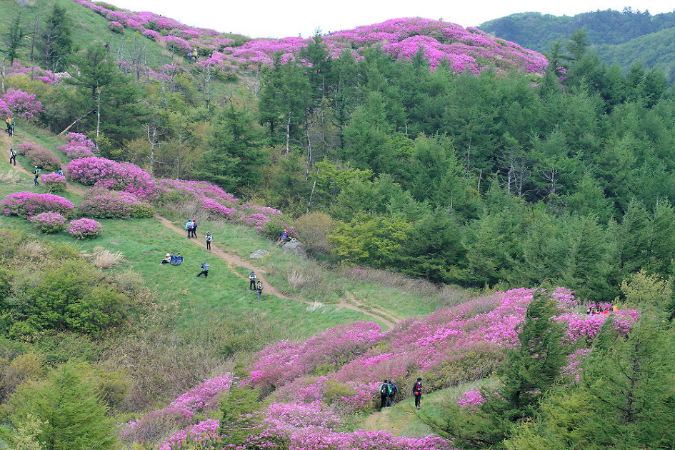 ������ �ٷ���3.jpg