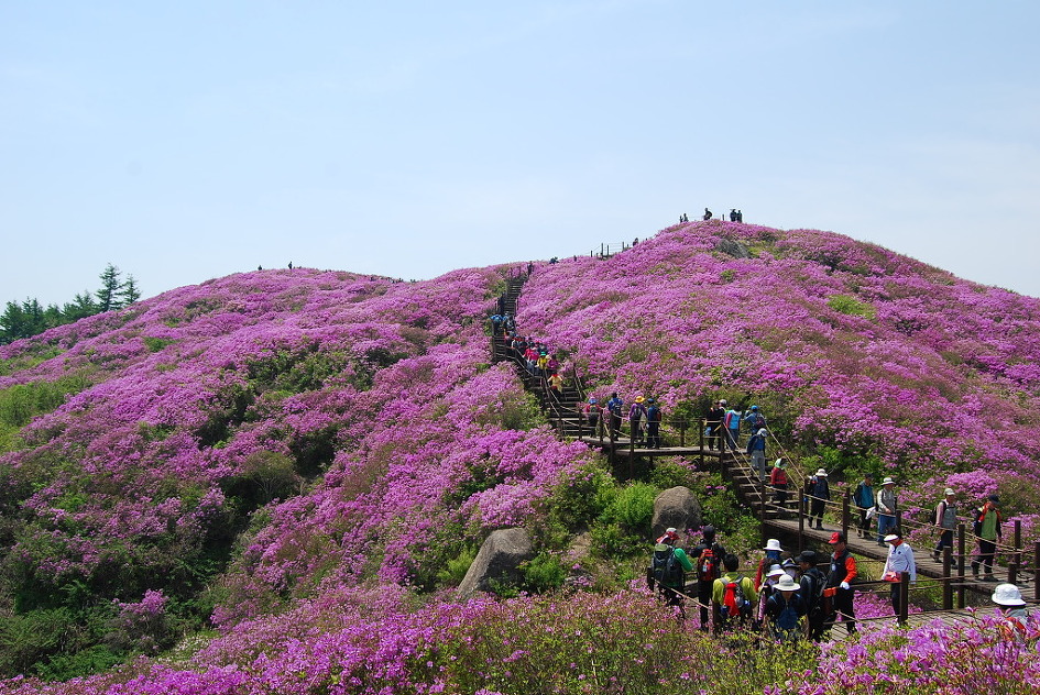 ������ �ٷ���4.jpg