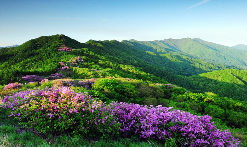 ������ �ٷ���5.jpg