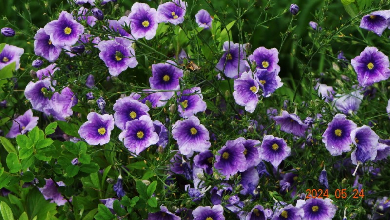 ²Ù¹Ì±â_DSC05473.JPG