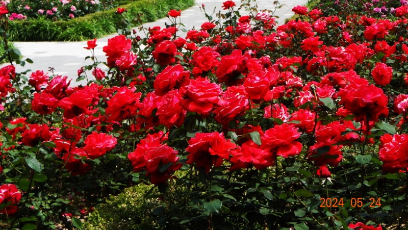 ²Ù¹Ì±â_DSC05510.JPG