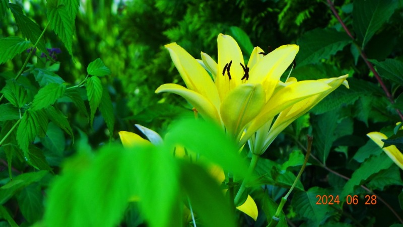 ٹ̱_DSC05592.JPG