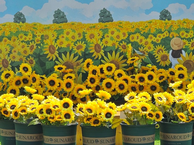 20240628_145334.jpg
