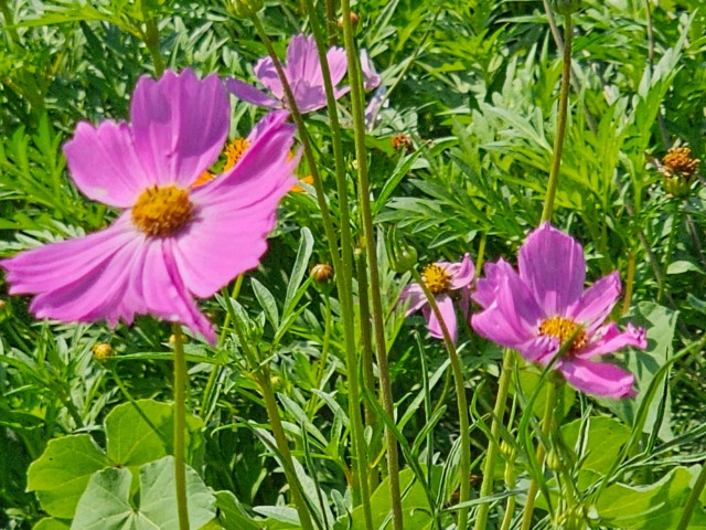 20240628_153736.jpg