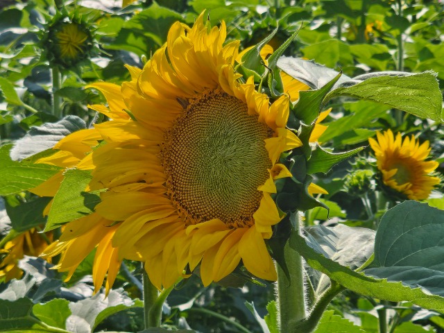 20240628_154740.jpg