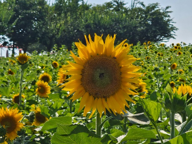 20240628_154730.jpg