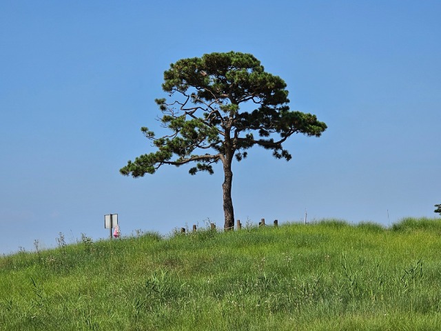 20240628_155946.jpg