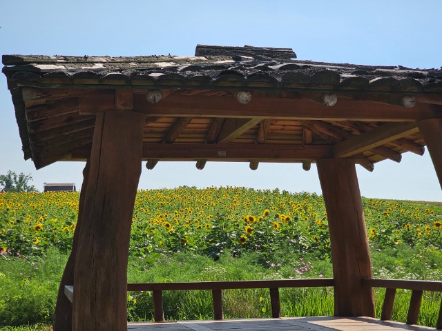 20240628_160325.jpg