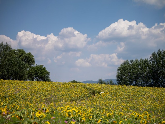 ÇØ¹Ù¶ó±â-3.jpg