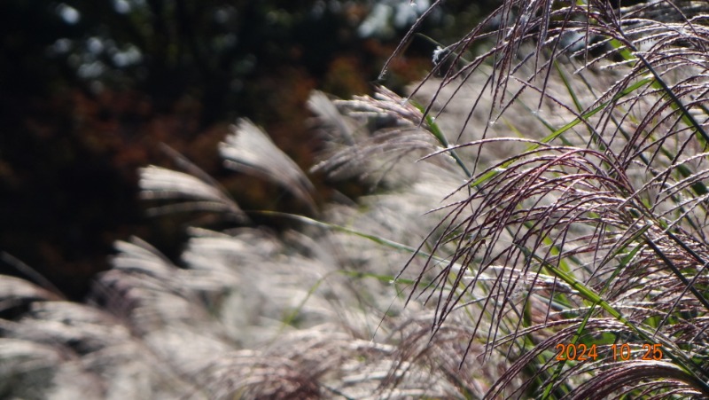 ²Ù¹Ì±â_DSC05758.JPG
