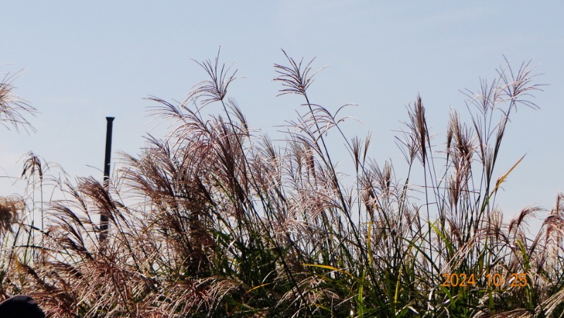 ²Ù¹Ì±â_DSC05760.JPG