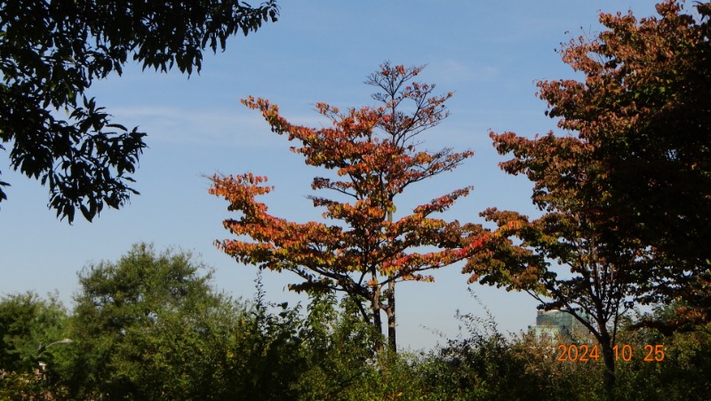 ²Ù¹Ì±â_DSC05764.JPG