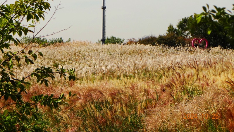 ²Ù¹Ì±â_DSC05769.JPG