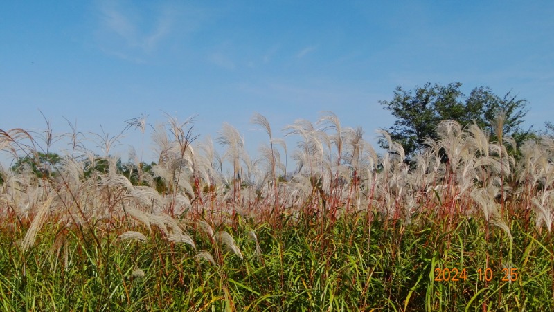 ²Ù¹Ì±â_DSC05779.JPG