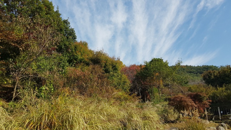 20241031_103533.jpg