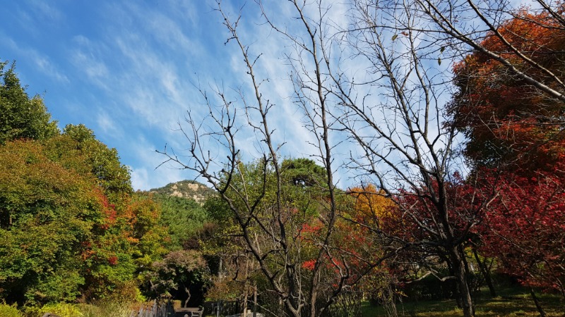 20241031_103657.jpg