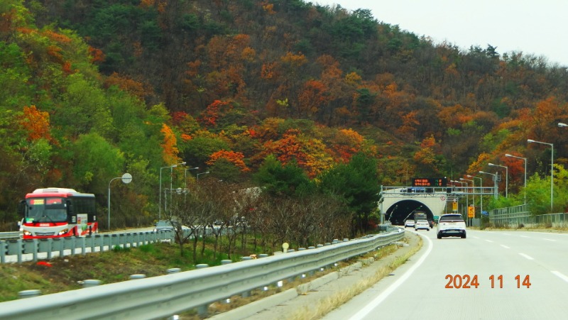 ٹ̱_DSC05801.JPG