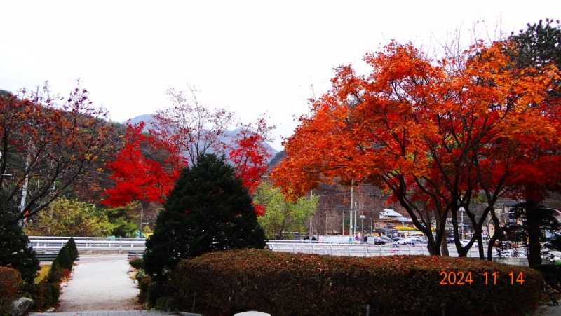ٹ̱_DSC05814.JPG