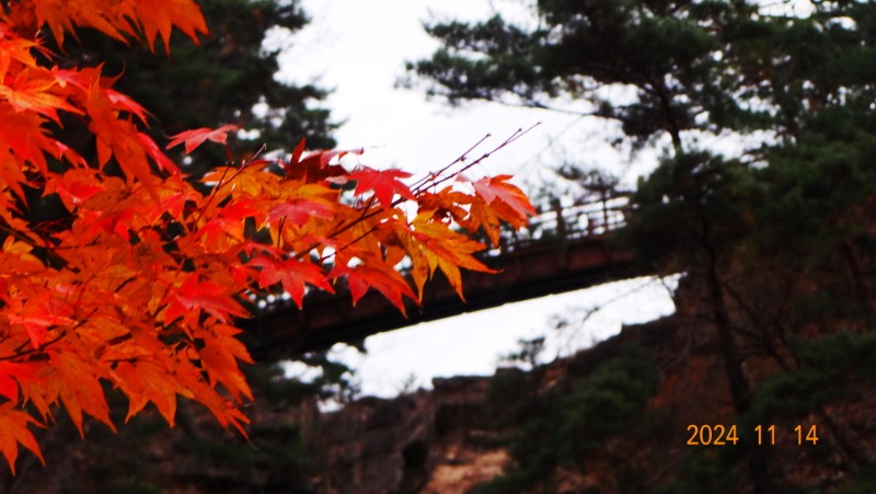 ٹ̱_DSC05825.JPG