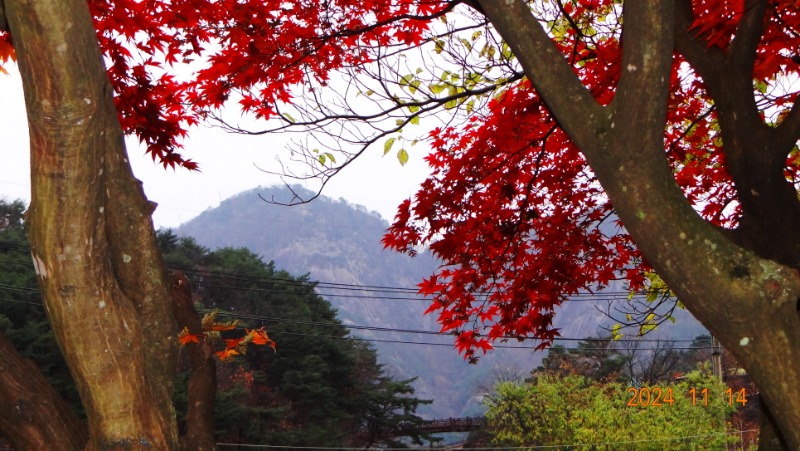 ٹ̱_DSC05835.JPG