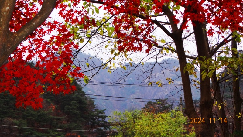 ٹ̱_DSC05836.JPG