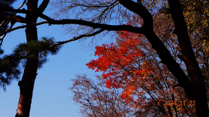 ٹ̱_DSC05926.JPG