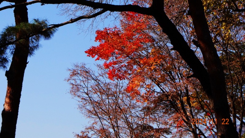 ٹ̱_DSC05927.JPG