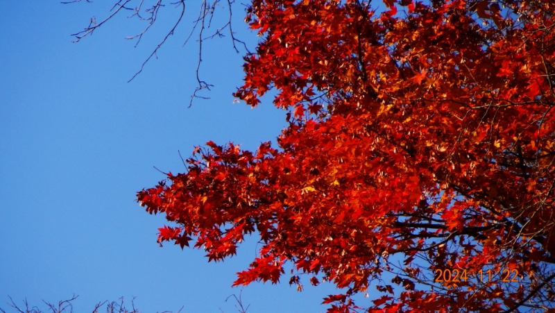 ٹ̱_DSC05928.JPG
