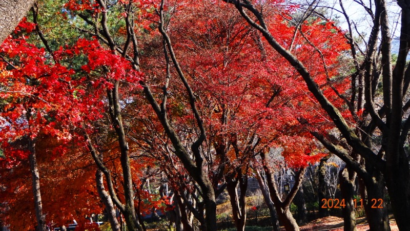 ٹ̱_DSC05929.JPG