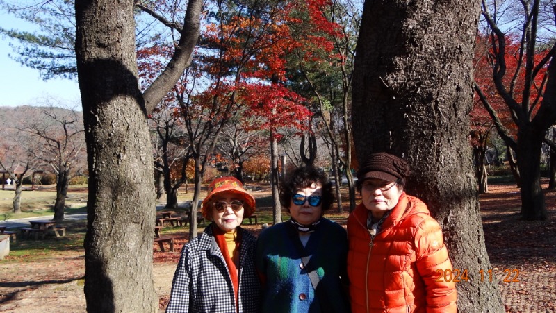 ٹ̱_DSC05932.JPG