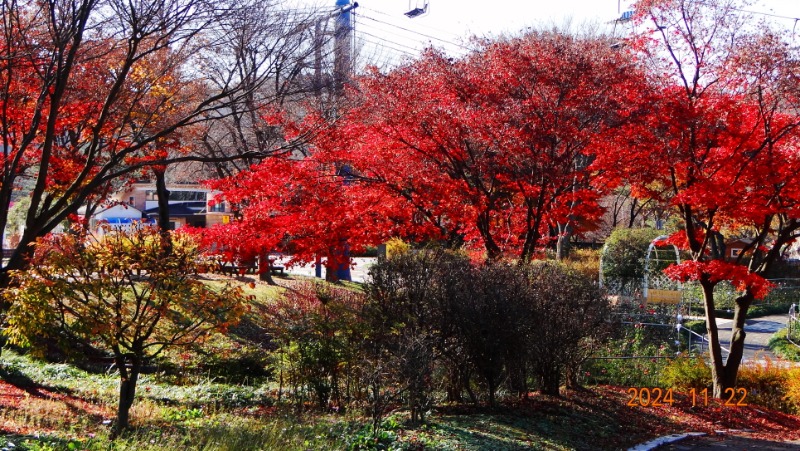ٹ̱_DSC05933.JPG