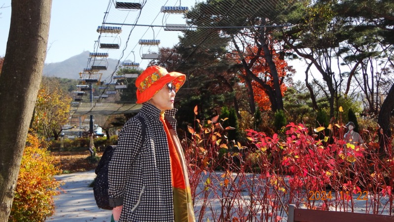 ٹ̱_DSC05935.JPG
