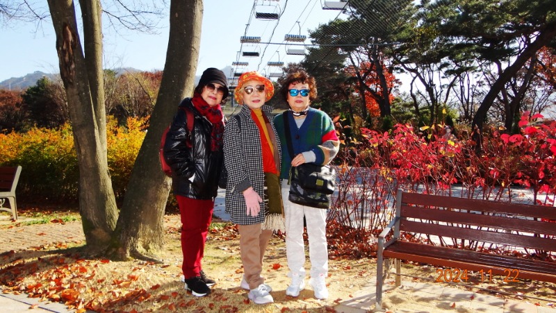 ٹ̱_DSC05936.JPG