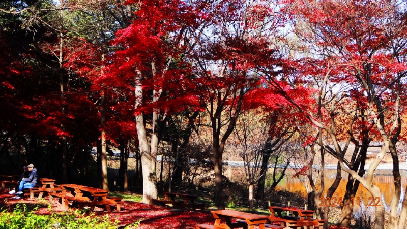 ٹ̱_DSC05942.JPG