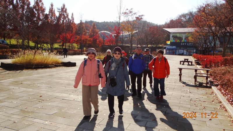 ٹ̱_DSC05943.JPG