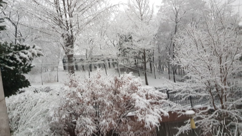 20250318_065301.jpg