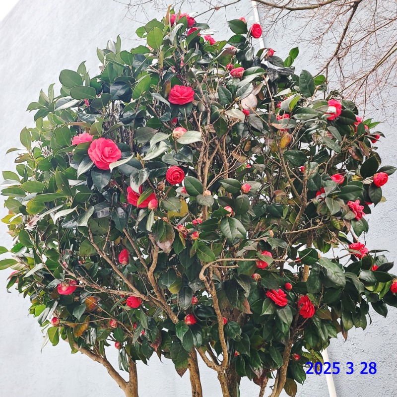[ٹ̱]056.jpg