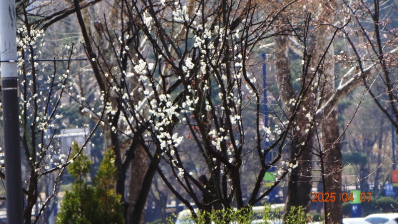 [ٹ̱]DSC06049.JPG