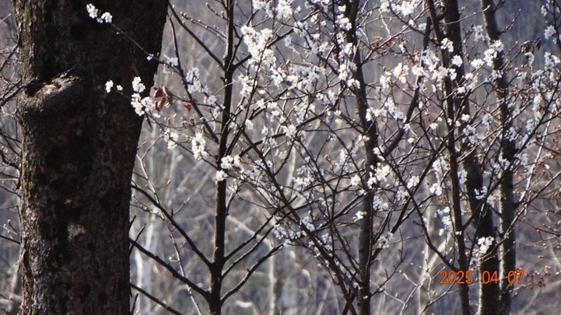 [ٹ̱]DSC06048.JPG
